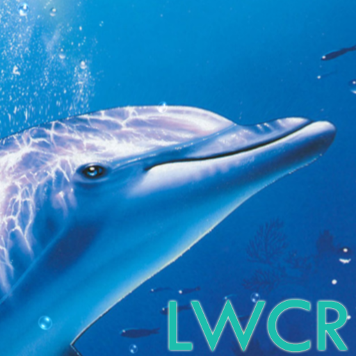 free dolphin live wallpaper APK  for Android – Download free dolphin  live wallpaper APK Latest Version from 
