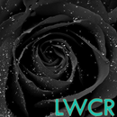 black rose live wallpaper APK