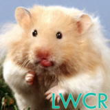 hamster lwp آئیکن