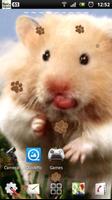 2 Schermata criceto lwp
