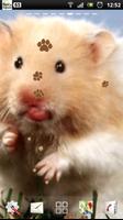 3 Schermata criceto lwp