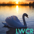 swan live wallpaper
