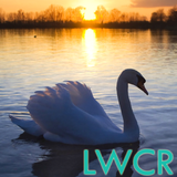 آیکون‌ swan live wallpaper
