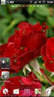 rose live wallpapers স্ক্রিনশট 2