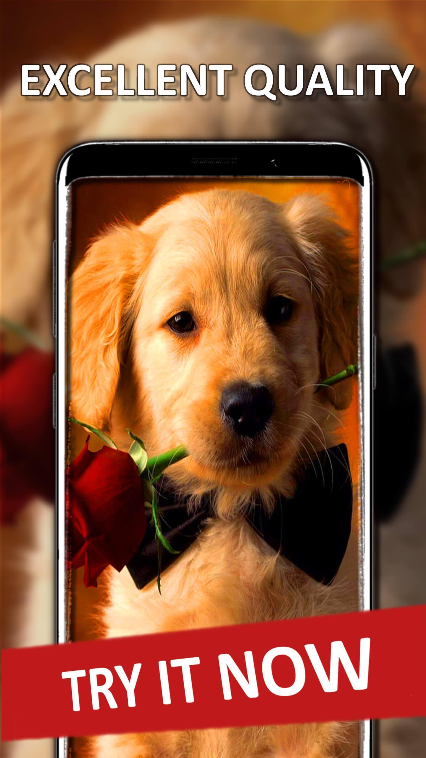 Wallpaper Anak Anjing For Android Apk Download