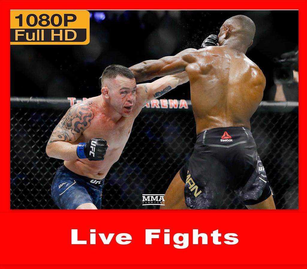 Watch Mma Fights Live Streaming For Free For Android Apk Download
