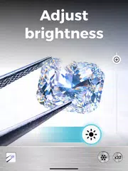 Magnifier Plus with Flashlight XAPK download