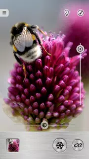 Magnifier Plus with Flashlight