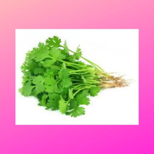 Health Benefits Of Coriander For Android Apk Download