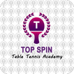 Top Spin Academy