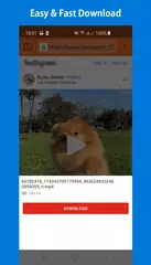 Descargar XAPK de Descargador de vídeos