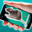 Rat Mouse On screen Prank APK