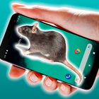 Rat Mouse On screen Prank آئیکن