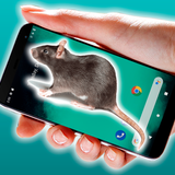 Rat Mouse On screen Prank ikon