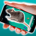 Rat Mouse On screen Prank Zeichen