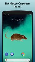 Rat Mouse On screen Prank-poster