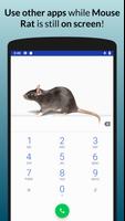 Rata Ratón En la pantalla Prank captura de pantalla 3