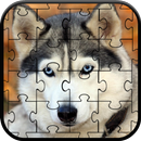 Husky Jigsaw Puzzle APK