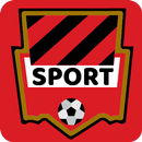 Leão Notícias do Sport - jogos, classificação APK