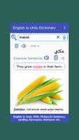 English to Urdu Dictionary capture d'écran 2