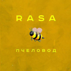 Rasa - Пчеловод все песни без интернета 아이콘