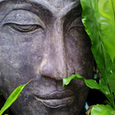 Niyom Thai APK