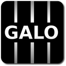 Galo Notícias pra torcida do Galão APK