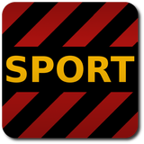Notícias do Sport icône