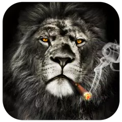 download Cool Lion Lock Screen for You APK