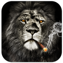 Cool Lion Lock Screen for You APK