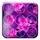 PIN Number Lockscreen (Lock with Password) APK