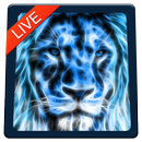 Красивые тигр живые обои APK