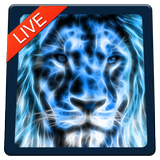 Lion Magic Touch Live wallpaper 2018 icon