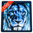Lion Magic Touch Live wallpaper 2018