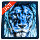 Lion Magic Touch Live wallpaper 2018 آئیکن