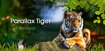 Schöne Tiger Live Wallpaper