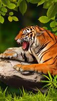 Tiger Live Wallpaper 2018 screenshot 2