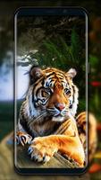 Beau tigre fond d'écran en direct Affiche