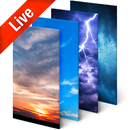 Real Time Weather Live Wallpaper APK