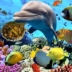 Descargar APK de Aquarium Fish Live Wallpaper 2019