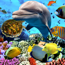 Aquarium Fish Live Wallpaper 2019 APK
