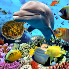 Aquarium Fish Live Wallpaper 2019 icône