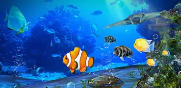 Aquarium Clown Fish Live Wallpaper 2019
