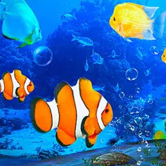 Скачать Aquarium Clown Fish Live Wallpaper 2019 APK
