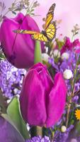 Flower Live Wallpaper Dancing Butterfly ảnh chụp màn hình 2