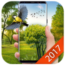 Красивые Зеленый сад живые обои APK