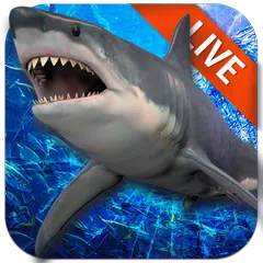 Schöne Hai im Ozean Live Wallpaper APK Herunterladen