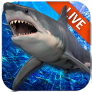 Красивые Акула в океане живые обои APK