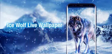 Schöne Weißer Wolf Live Wallpaper