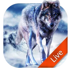 Schöne Weißer Wolf Live Wallpaper APK Herunterladen